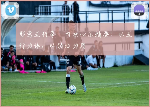 形意五行拳・内功心法精要：以五行为体，以劲法为用