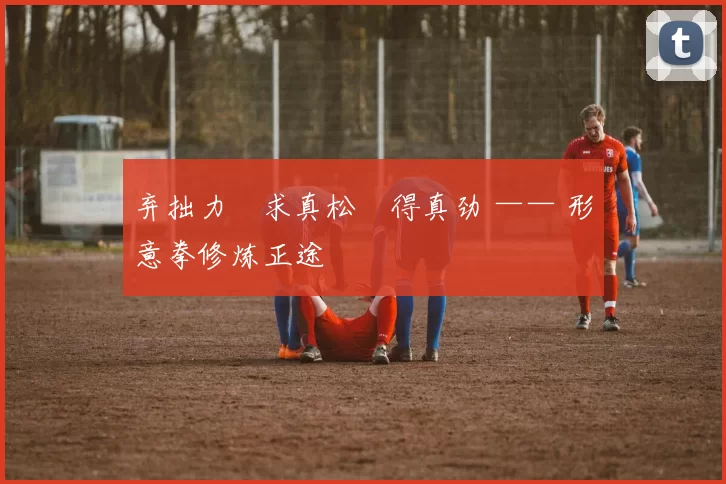 弃拙力・求真松・得真劲 —— 形意拳修炼正途