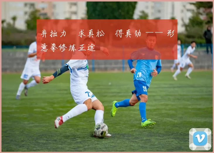 弃拙力・求真松・得真劲 —— 形意拳修炼正途