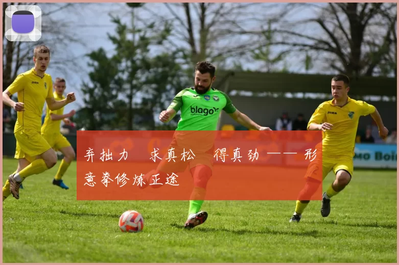 弃拙力・求真松・得真劲 —— 形意拳修炼正途