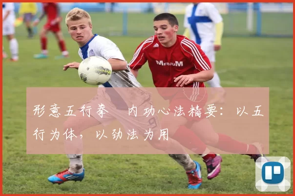 形意五行拳・内功心法精要：以五行为体，以劲法为用