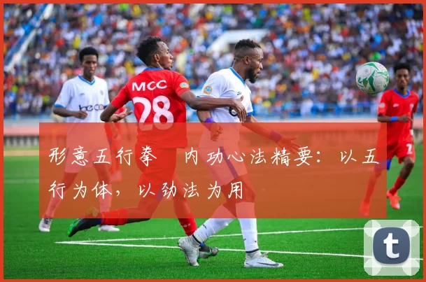 形意五行拳・内功心法精要：以五行为体，以劲法为用