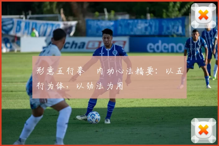 形意五行拳・内功心法精要：以五行为体，以劲法为用