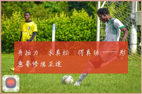 弃拙力・求真松・得真劲 —— 形意拳修炼正途