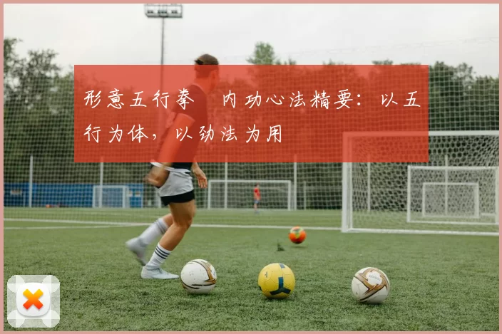 形意五行拳・内功心法精要：以五行为体，以劲法为用