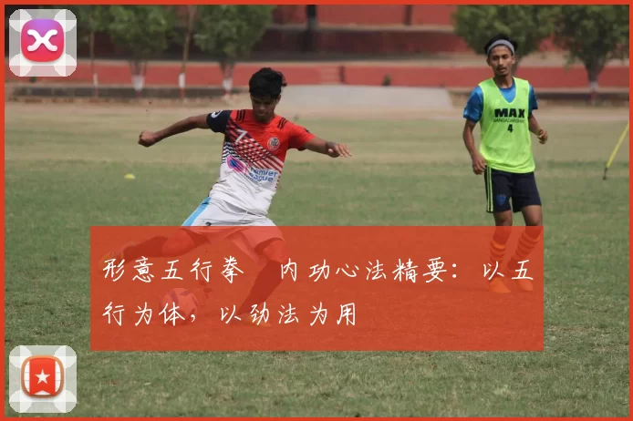 形意五行拳・内功心法精要:以五行为体,以劲法为用