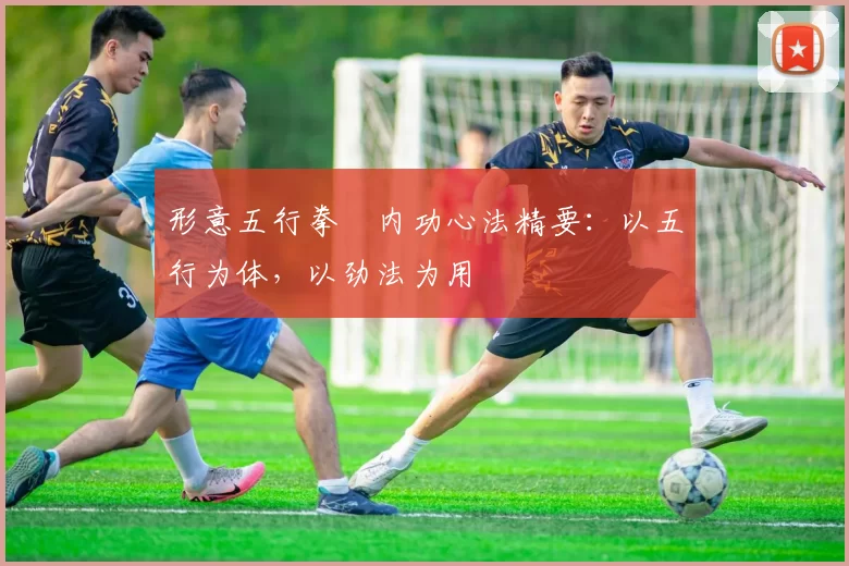 形意五行拳・内功心法精要：以五行为体，以劲法为用