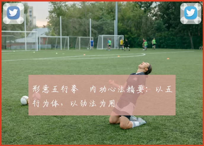 形意五行拳・内功心法精要：以五行为体，以劲法为用
