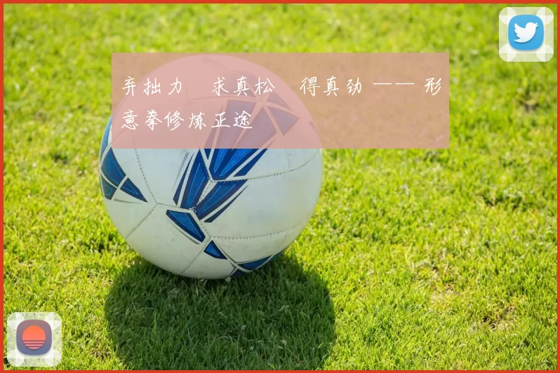 弃拙力・求真松・得真劲 —— 形意拳修炼正途