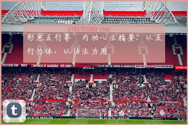 形意五行拳・内功心法精要:以五行为体,以劲法为用