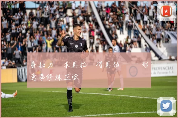 弃拙力・求真松・得真劲 —— 形意拳修炼正途