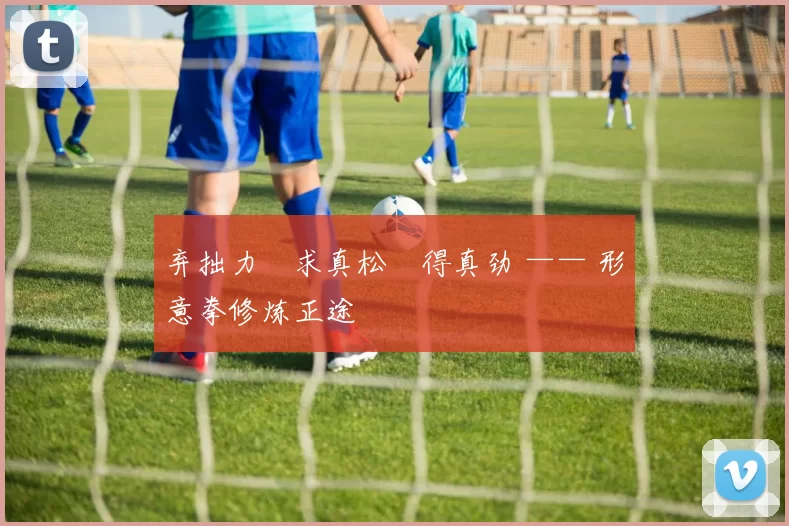 弃拙力・求真松・得真劲 —— 形意拳修炼正途