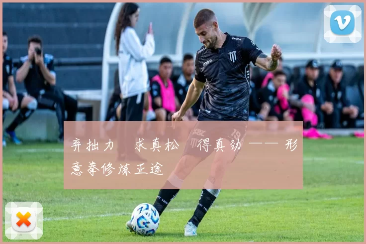 弃拙力・求真松・得真劲 —— 形意拳修炼正途