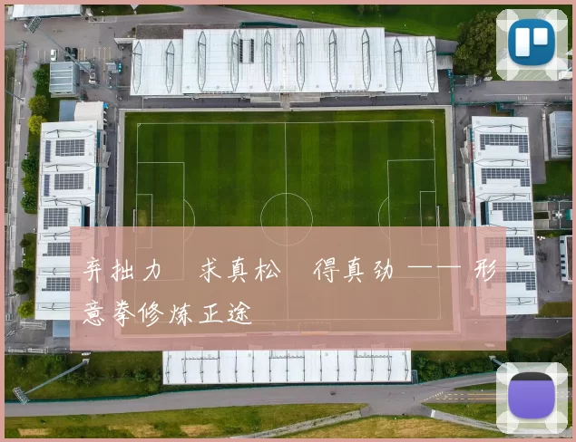 弃拙力・求真松・得真劲 —— 形意拳修炼正途