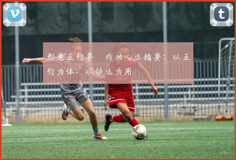 形意五行拳・内功心法精要:以五行为体,以劲法为用