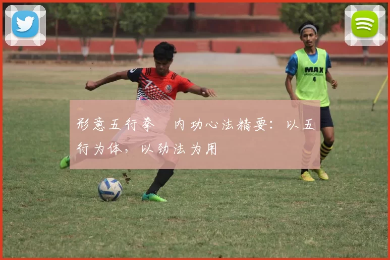 形意五行拳・内功心法精要：以五行为体，以劲法为用