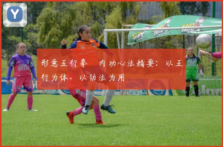 形意五行拳・内功心法精要：以五行为体，以劲法为用