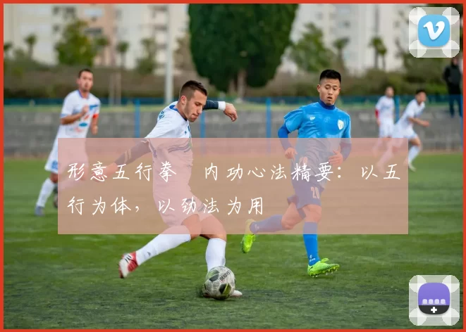 形意五行拳・内功心法精要：以五行为体，以劲法为用