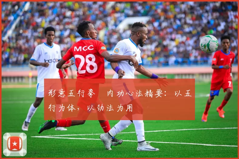 形意五行拳・内功心法精要：以五行为体，以劲法为用