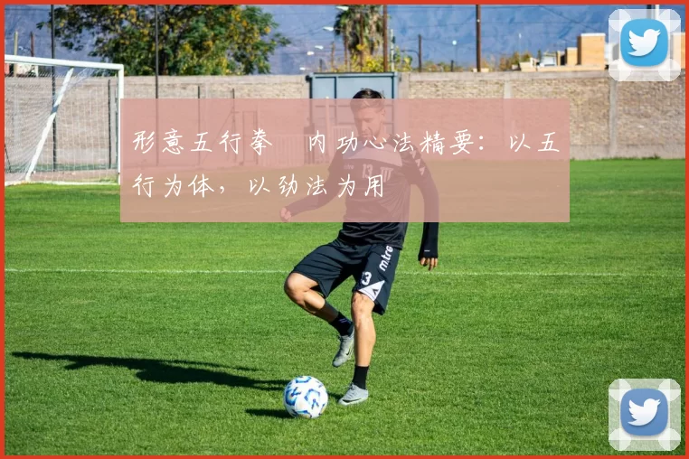 形意五行拳・内功心法精要:以五行为体,以劲法为用