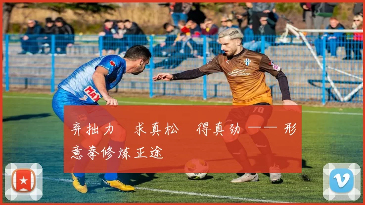 弃拙力・求真松・得真劲 —— 形意拳修炼正途