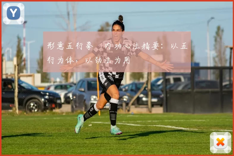形意五行拳・内功心法精要:以五行为体,以劲法为用