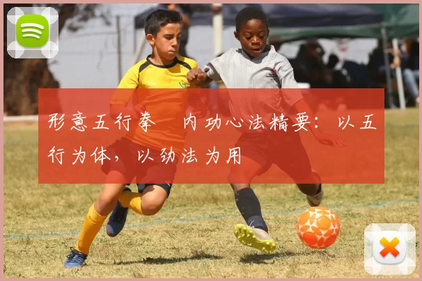 形意五行拳・内功心法精要:以五行为体,以劲法为用