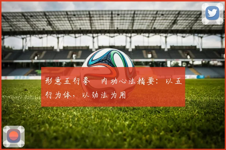 形意五行拳・内功心法精要：以五行为体，以劲法为用