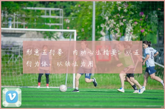 形意五行拳・内功心法精要:以五行为体,以劲法为用