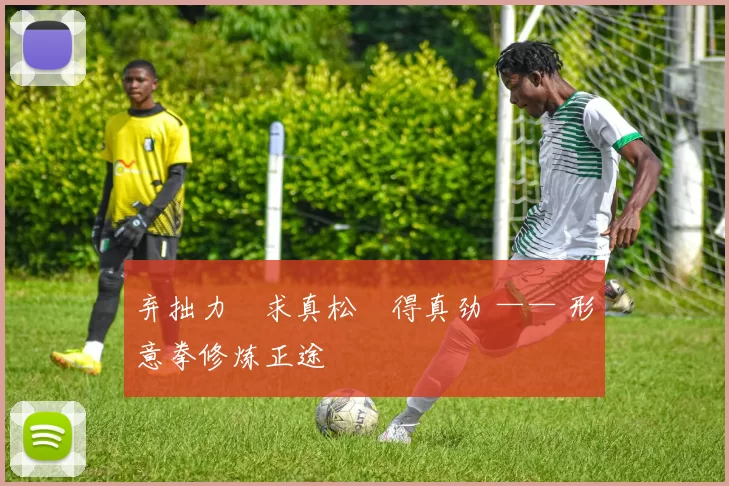 弃拙力・求真松・得真劲 —— 形意拳修炼正途