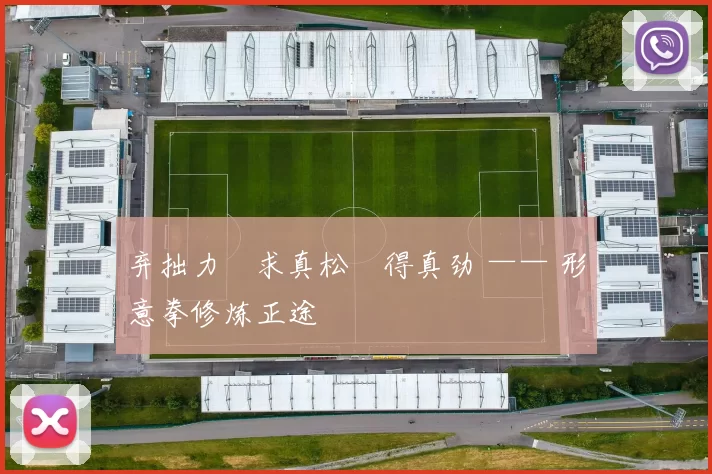 弃拙力・求真松・得真劲 —— 形意拳修炼正途