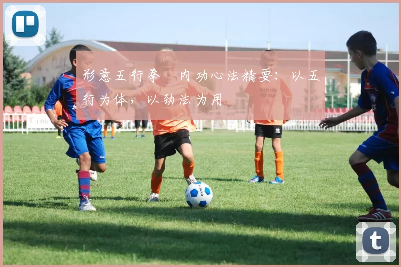 形意五行拳・内功心法精要：以五行为体，以劲法为用