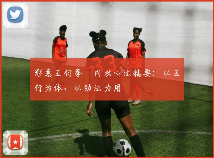 形意五行拳・内功心法精要：以五行为体，以劲法为用