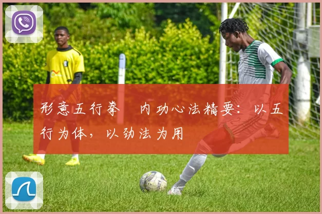 形意五行拳・内功心法精要：以五行为体，以劲法为用