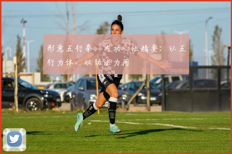 形意五行拳・内功心法精要：以五行为体，以劲法为用