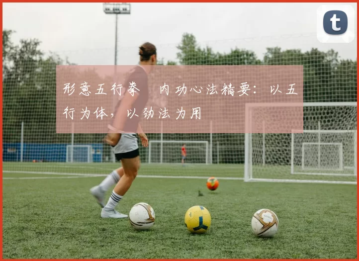 形意五行拳・内功心法精要：以五行为体，以劲法为用