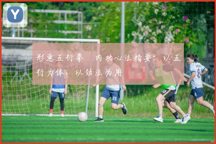 形意五行拳・内功心法精要：以五行为体，以劲法为用