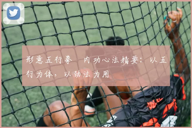 形意五行拳・内功心法精要：以五行为体，以劲法为用