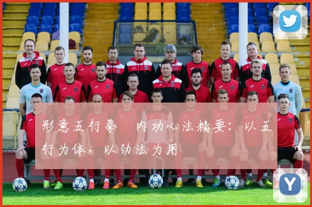 形意五行拳・内功心法精要:以五行为体,以劲法为用