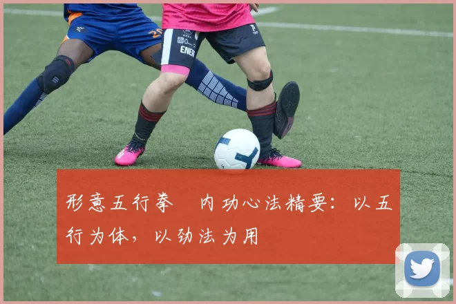 形意五行拳・内功心法精要：以五行为体，以劲法为用