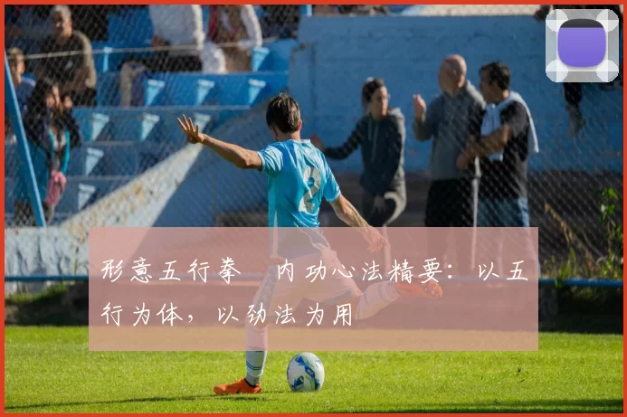 形意五行拳・内功心法精要:以五行为体,以劲法为用
