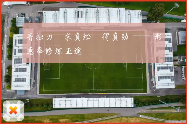 弃拙力・求真松・得真劲 —— 形意拳修炼正途