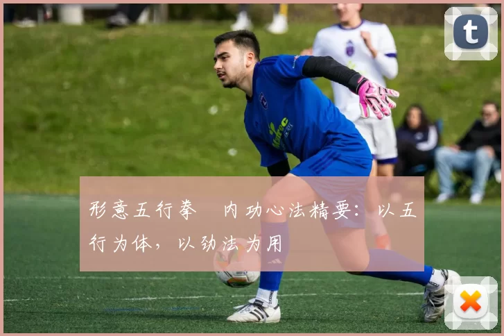 形意五行拳・内功心法精要：以五行为体，以劲法为用