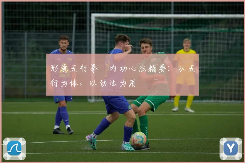 形意五行拳・内功心法精要:以五行为体,以劲法为用