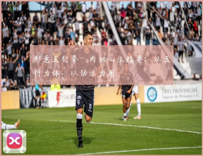 形意五行拳・内功心法精要：以五行为体，以劲法为用