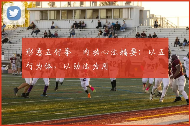 形意五行拳・内功心法精要:以五行为体,以劲法为用