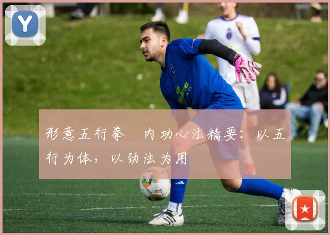 形意五行拳・内功心法精要：以五行为体，以劲法为用