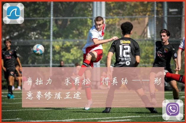 弃拙力・求真松・得真劲 —— 形意拳修炼正途