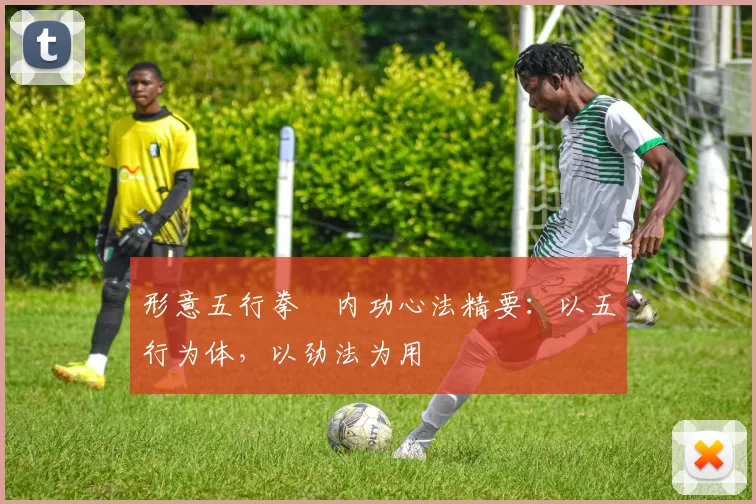 形意五行拳・内功心法精要:以五行为体,以劲法为用