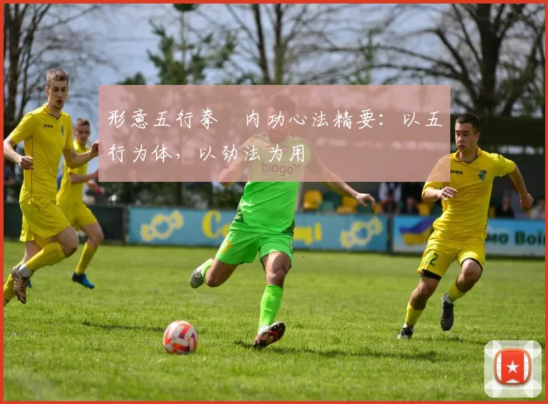 形意五行拳・内功心法精要：以五行为体，以劲法为用